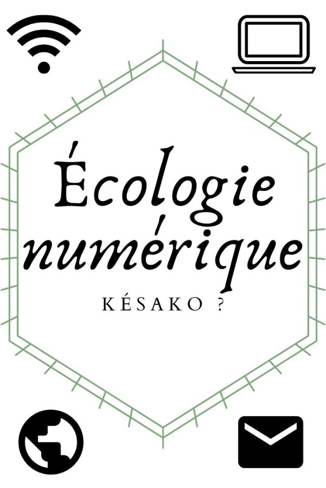Écologie numérique